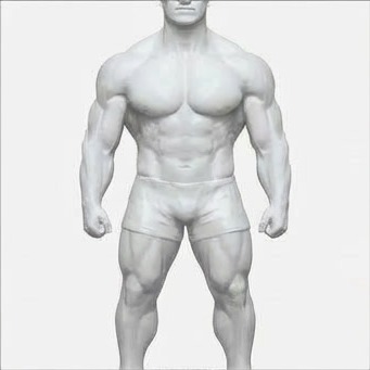Muscle map