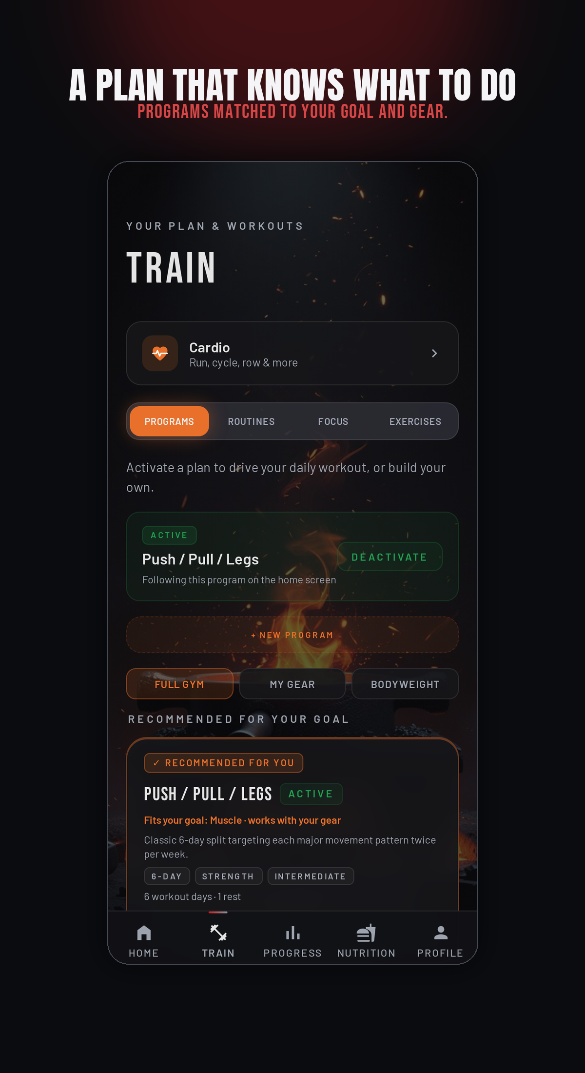 Train screen